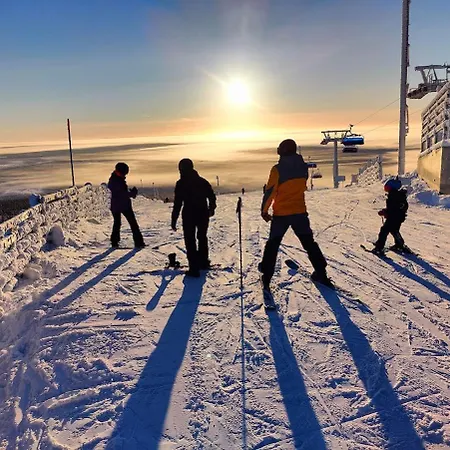 Levistar 1609 Леви