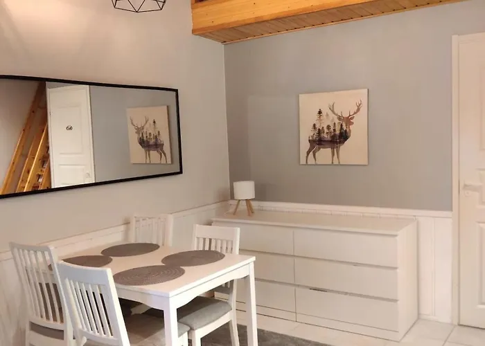 Levistar 1609 * Levi